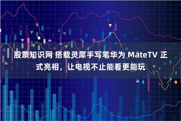 股票知识网 搭载灵犀手写笔华为 MateTV 正式亮相，让电视不止能看更能玩