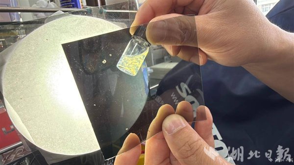 配资门户官网 “厨余”变“金矿”，华农团队从虾壳里“淘”出高价纳米晶