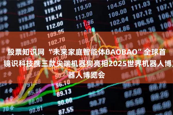 股票知识网 “未来家庭智能体BAOBAO”全球首秀！ 镜识科技携三款尖端机器狗亮相2025世界机器人博览会
